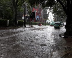 Spider Eskavator Disiapkan Atasi Banjir di Bandung