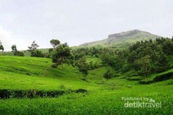 Gunung Sindoro, Indah Banget!