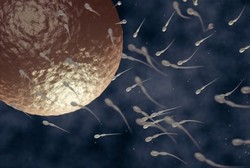 Masalah-masalah Seputar Sperma yang Bikin Pria Susah Punya Anak