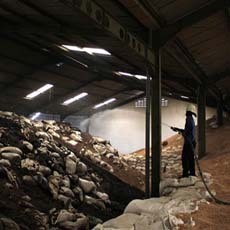 Kedelai Barang Bukti Mabes Polri Terbakar