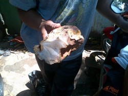 Cerita dari Mulut ke Mulut yang Undang Warga Cari Giok dan Kecubung di Cilandak