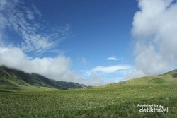 Hijaunya Savana di Bromo
