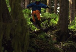 Gila! Tidak di Salju, Pria Ini Ski di Hutan