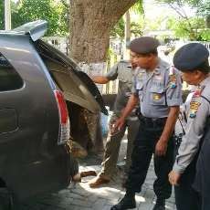 Komplotan Spesialis Mobil Lintas Kota Diamankan Saat Beraksi di Pasuruan