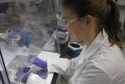 Wow! Vitamin B3 Ditemukan Pada Pecahan Meteorit