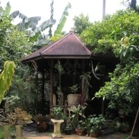 Punya Kolam Renang, Fifie Buntaran Akui Jarang Berenang