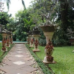 Meski Bergaya Glamor Fifie Buntaran Hobi Berkebun di Rumah