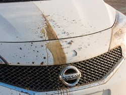 Mobil Nissan di Masa Depan Tidak Perlu Dicuci