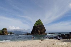 Pantai Papuma, Primadona dari Jember