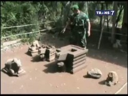 Warga Temukan Candi Berbentuk Yoni Diduga Lebih Tua Dari Candi Borobudur