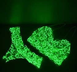 Brand Asal Amerika Ini Ciptakan Bra & Panties yang Menyala dalam Gelap