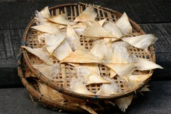 Konsumsi Satwa Liar Langka di Tiongkok Kini Diancam Hukuman Penjara