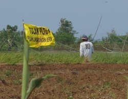 Masalah Lahan, PLTU Batang Tak Kunjung Dibangun
