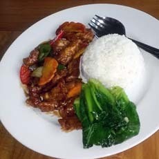 Bebek Kopi, Tak Hanya Dimonopoli Penikmat Kopi