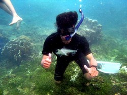 Libur Seru Akhir Pekan, Ya Karimunjawa!