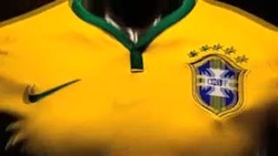 Target Juara Tuan Rumah Piala Dunia 2014