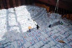 Harga Patokan Gula Petani akan Direvisi