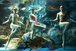 Kisah Putri Duyung Cantik di Akuarium Korea Selatan