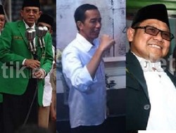 PPP atau PKB Partai Hijau yang Segera Merapat ke Jokowi?