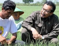 Target Produksi Padi dan Kedelai Direvisi