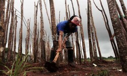 Diklaim Pertama di Indonesia, Taman Kota Waduk Ria Rio Berkonsep Terasering
