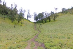 Menikmati Semeru di Tanjakan Cinta