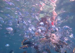 Terjebak Badai di Karimunjawa