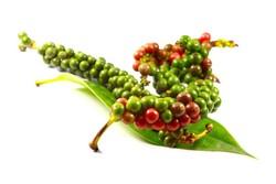 Untuk Pertama Kali International Pepper Community Gelar Pepper Day di Indonesia