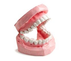 Cegah Infeksi Mulut Saat Seks Oral? Perkuat Imun, Tak Harus Pakai Dental Dam