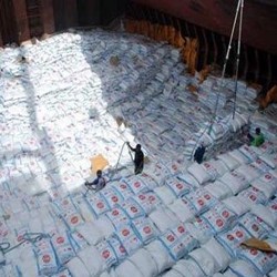 Petani Minta HPP Gula Rp 9.500/Kg, Mendag Lutfi: Tidak Bisa Diterima