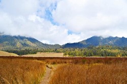 Indahnya Pesona Semeru dan Bromo