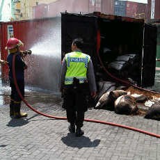 Kontainer Isi Bungkil Terbakar di Dermaga Pelabuhan Tanjung Perak