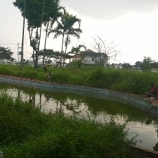 Anak-anak Kecil Sering Mandi di Lokasi Emon Beraksi Pada Siang Hari