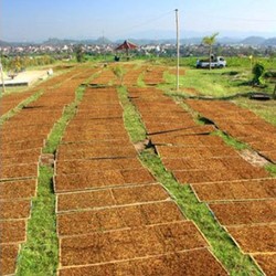 RI Gugat Australia ke WTO Karena Tembakau