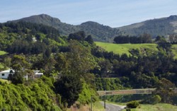 Begini Serunya Menjelajah Pulau di Selatan Selandia Baru