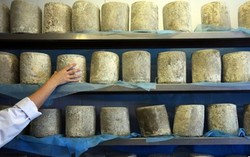 Usai Tinjau Satu Pabrik Keju, Tiongkok Stop Sementara Impor Keju dari Inggris