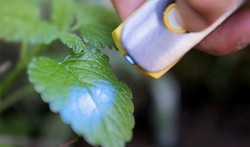 Dengan SCiO Kandungan Nutrisi Makanan Bisa Terbaca dalam Sekejap