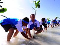 Aksi Tanam Mangrove Alumni IPB