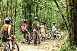 Damainya Bersepeda Mengelilingi Ubud