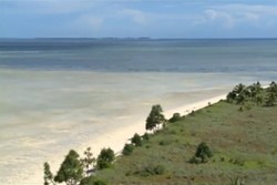 Eliasa, Ujung Maluku yang Nyaris Sampai Australia