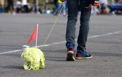 Remaja Tiongkok Berjalan Ditemani Kol untuk Hilangkan Risau