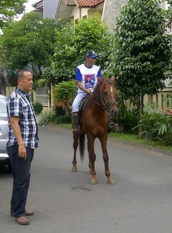 Saat si Raja Preman Dievakuasi dari Tol Jagorawi