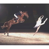 Kolaborasi Balet dan Seni Kelincahan Kuda, Alias Dressage