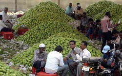 Uni Eropa Larang Impor Mangga dan Sayuran dari India