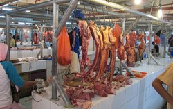 Oplosan Daging Ayam Tiren hingga Kera Ternyata Dijual di Indonesia