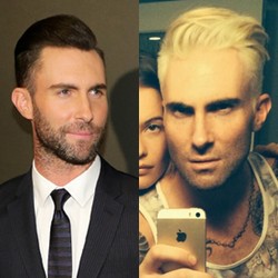 Adam Levine Berambut Pirang, Love It or Leave It?