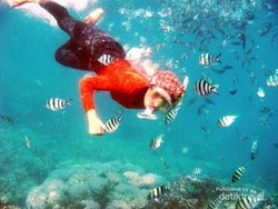 Karimunjawa Secuil Surga Nan Damai di Utara Jawa