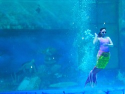 Aksi Putri Duyung Cantik di Ocean Dream Samudera, Ancol