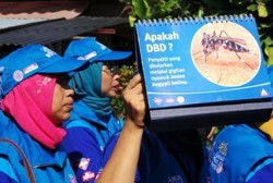 Meski Ada Nyamuk Ber-Wolbachia, Sleman Tak Kendorkan Upaya Penanganan DBD