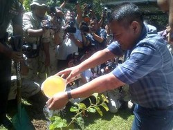 Ratusan Hektar Lahan Milik Kodam IV Diponegoro Akan Ditanami Tumbuhan Jamu